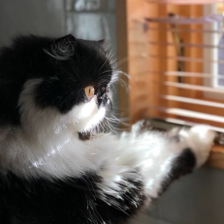 F27cdb8c 30bd 4c3d bba9 0b98c22ff6a3 1559203079799