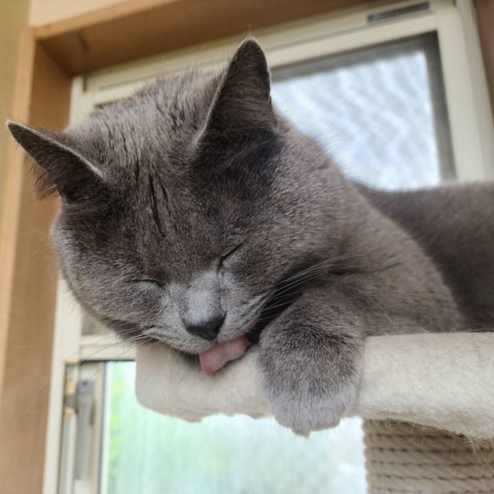 F27d0802 0d3d 4192 a770 1460e79557a4 1618283588230