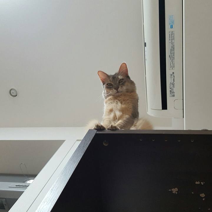 F27d10ec 1b92 4af2 b959 8c4aea608e15 1540216905923