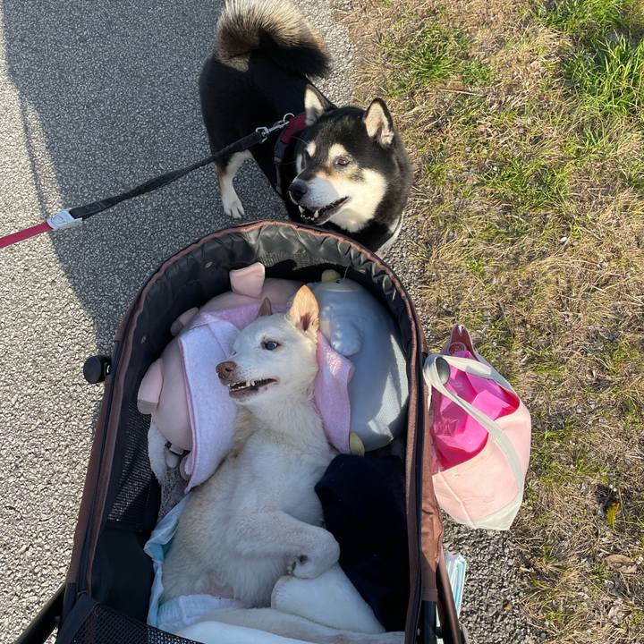 F27d1c89 027a 49a6 a62e 5c8459fe61f5 1676373154592