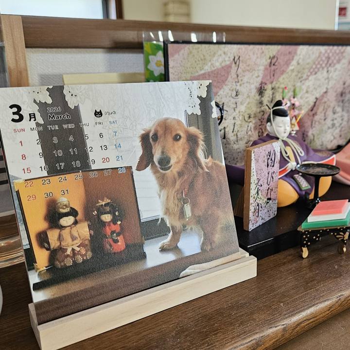 F27d74d3 97f0 49cb b915 cb18b7d56dc8 1772850366448