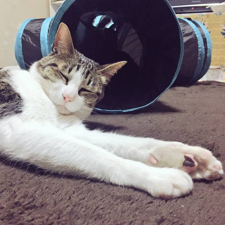 F27dffd8 f36a 4934 9290 391321f59e70 1518175945176