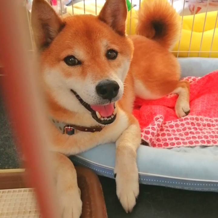 F27e0b72 2cdc 41af a0d4 b8b5385f8e81 1658761259820