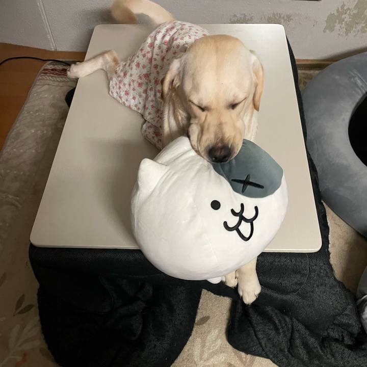 F27e3fc8 5d19 4aa6 8db4 7c8cf606dad3 1641604503110