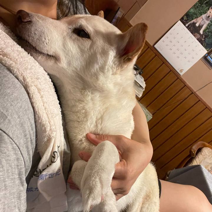 F27e5d93 aa94 4e54 88dc 7c8e6ee85f82 1655739691407