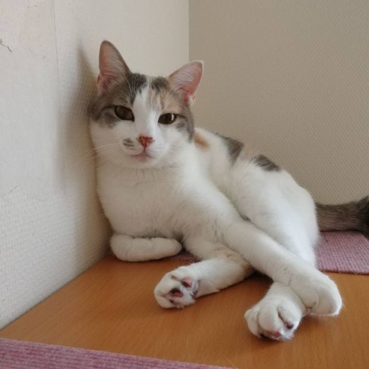 F27ef07b d524 4a78 bb4b dda7d2cbb294 1559991872907