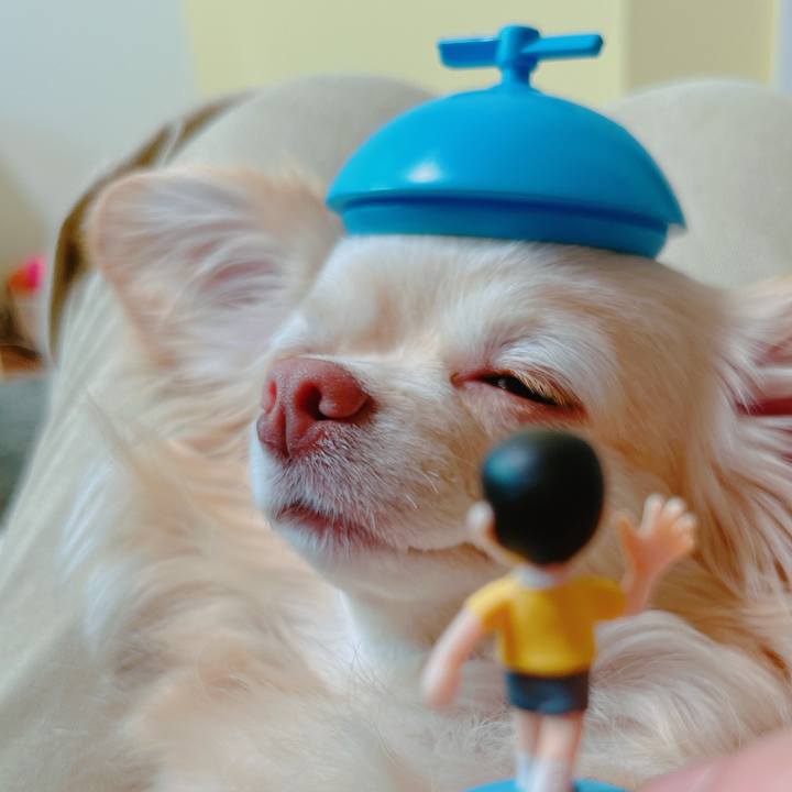 F27f0a2a eea4 4c53 98ac ebead66691a5 1650788919138