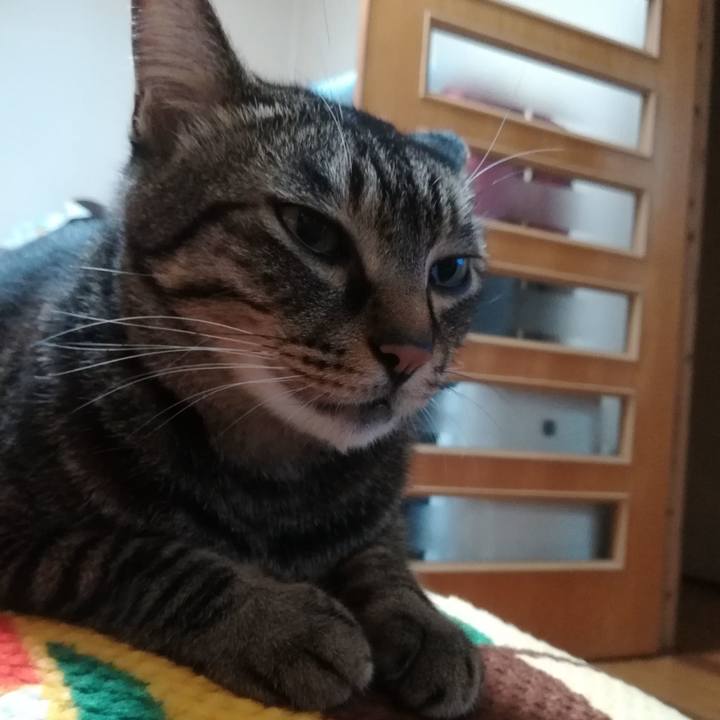 F27f1082 97f3 45a3 961e b81d0ad81967 1538828323714