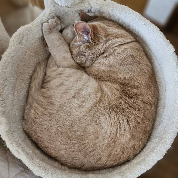 F27f81ca 4061 47e5 be5d a2af3d28ab1a 1718424014611