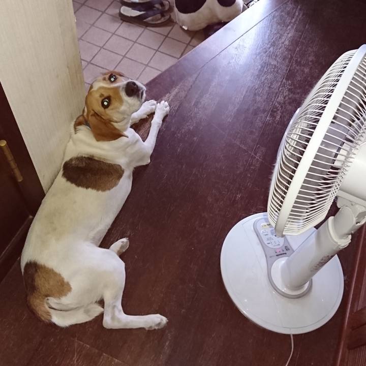 F27f87a1 3822 4a23 8e57 f730ab314200 1565009981740