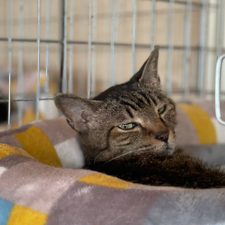 F27fa790 0975 45e2 994a 19158373ab79 1623892308050