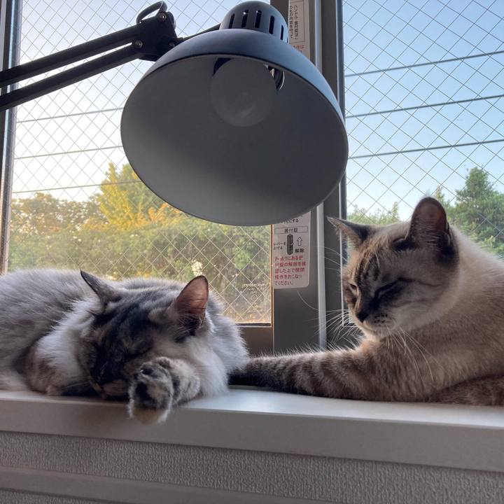 F27fa9e7 ab34 4842 89ee 07f5d3296cda 1726561345895