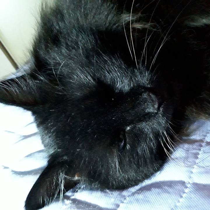 F27ffbea 67ff 4c56 b970 4451ccf22239 1534344338181