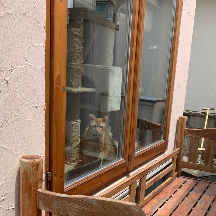 F2801019 01d5 4bed a4a6 22ea7a8f0cec 1557463706820