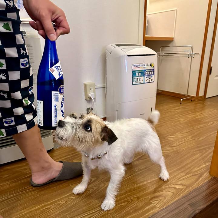 F280212a dd01 40ed 86cf 1bf27ba334ec 1730698395568