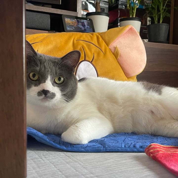 F2808553 e1b1 49f6 9e88 7b7eea6fdbbc 1756080611792