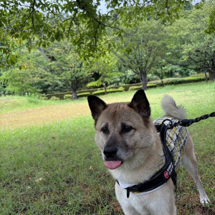 F2808682 77cc 4682 9875 0aa45a3262dd 1754737475807