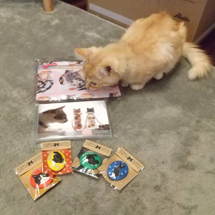 F28086ab acbe 453b 88bb 0a4e033af850 1607238644238