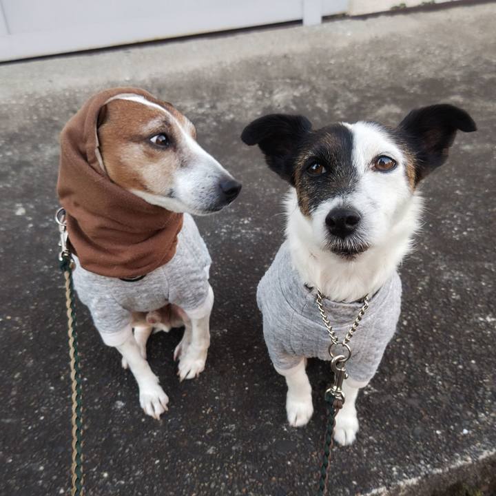 F280b89e 21e6 44f7 80af 73d1f7ff890f 1768602903711