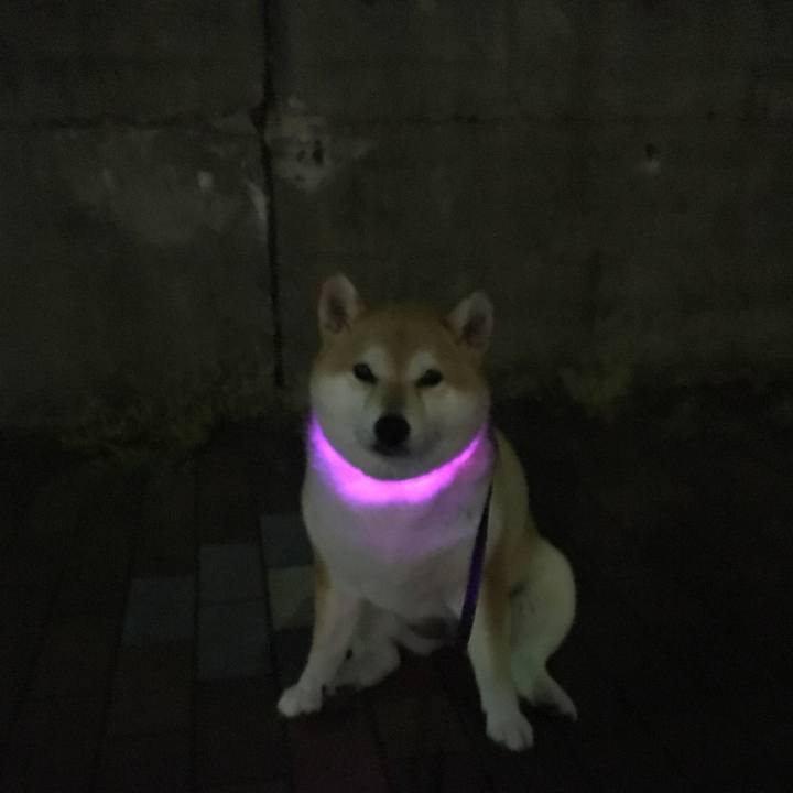 F280ba03 ed37 4835 a4e4 505fc521903f 1568890081693