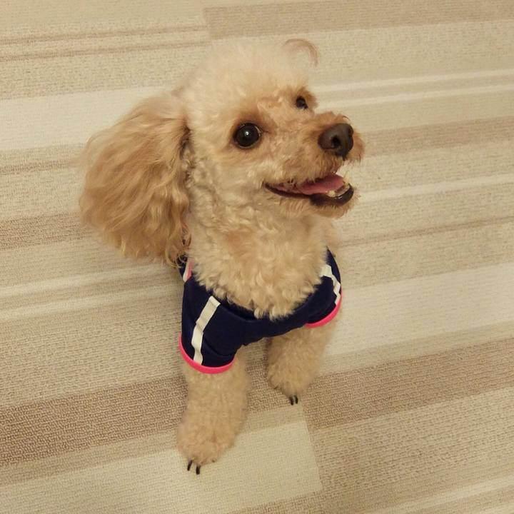 F280ff75 4194 4ebb 8d7a 86f924ef712b 1529843268392