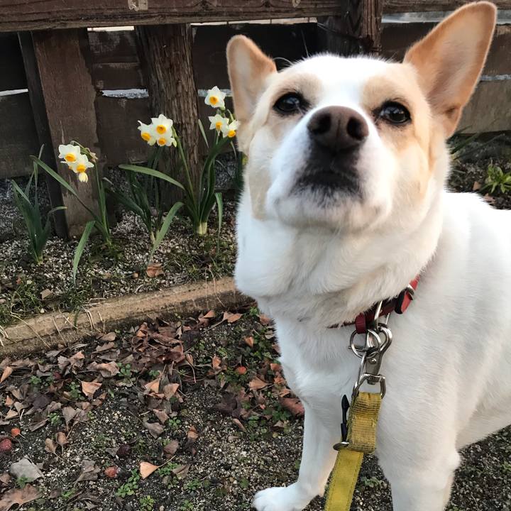 F2812a1b c1be 48ff b48f ea3cafe25655 1613705287810