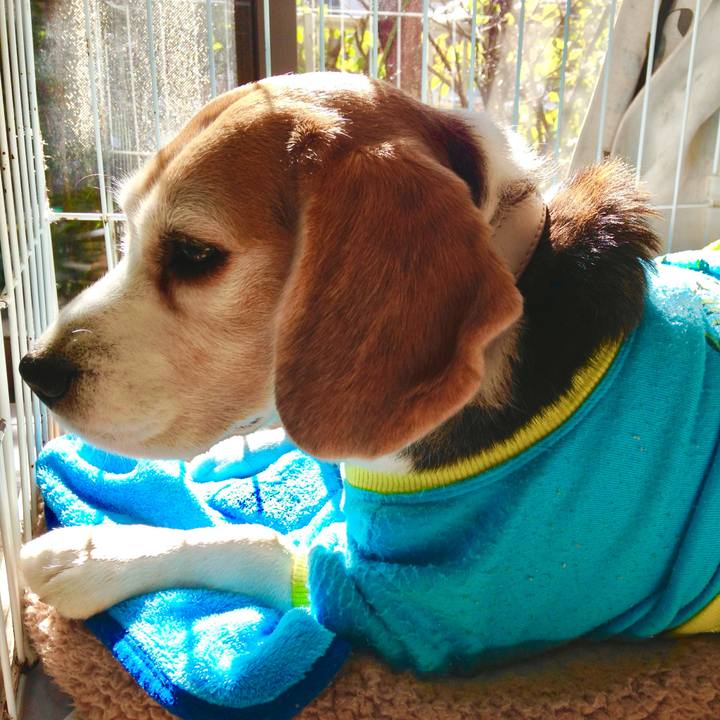 F2813545 6a1f 479d be56 fd9122ca9955 1769437732442