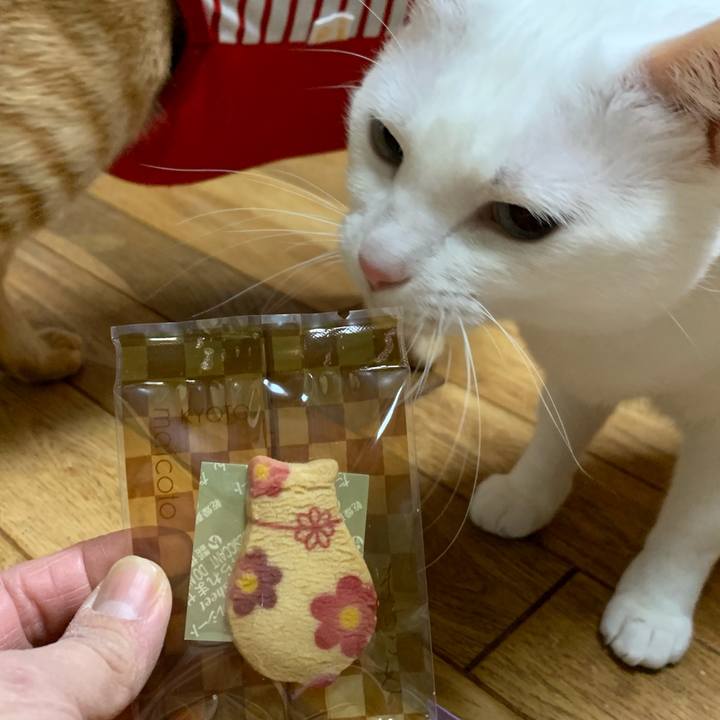 F2813855 d1ab 4b8c 87e1 5cdff9f7c3a2 1577311513402