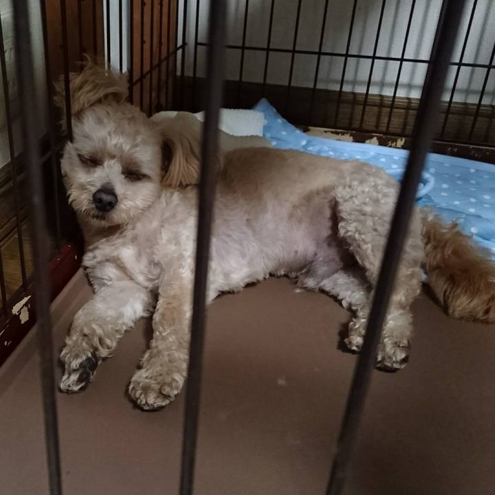 F2815912 f58b 49de 9883 e80ed7058645 1593438403408