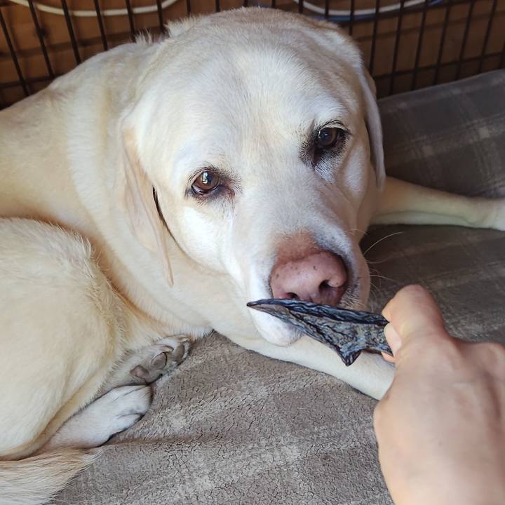 F2819238 3677 4fa5 8b0c 169fbe693e53 1744171140286