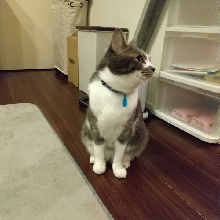 F28198e2 b14f 4b3c a244 00280f9e000e 1608903667661