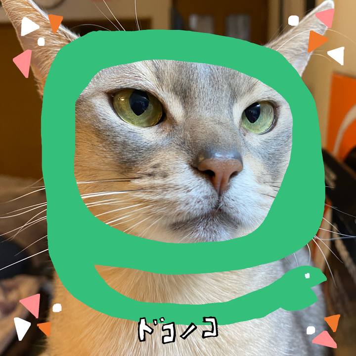 F281b8e0 b2bb 418a ba7c 34a5bef794e7 1741433281626