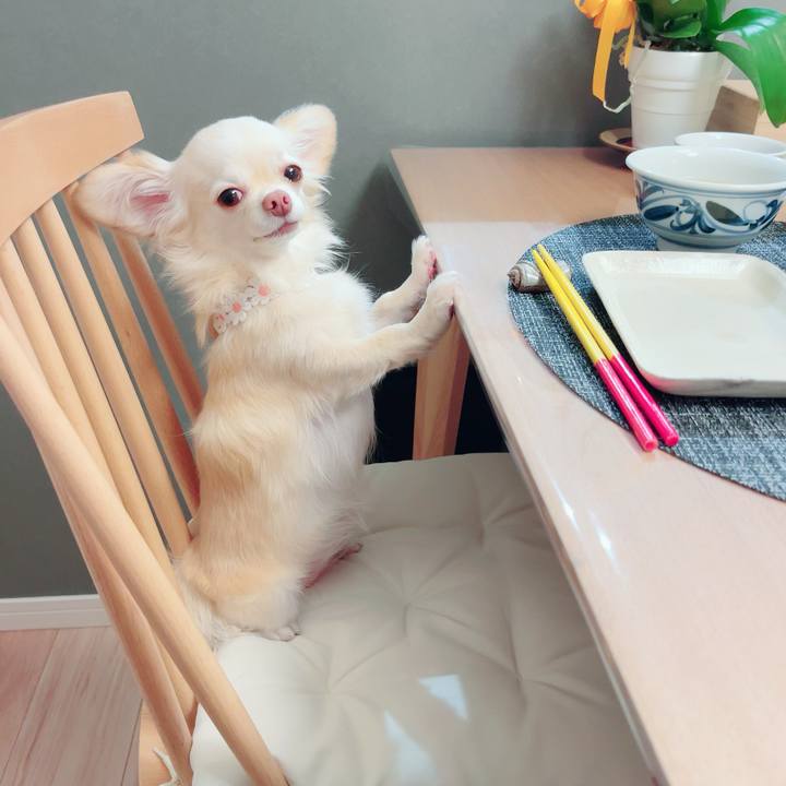 F281c510 7c29 4001 b3b1 4682545ef726 1692877108986