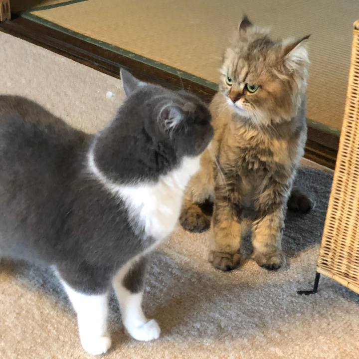 F281ce8e 7a9d 48f8 a1c9 7f66f088aefd 1561528374319