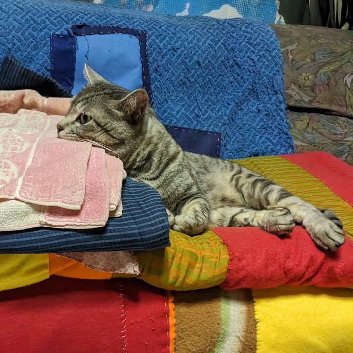 F281ceb7 d17b 4046 a8a3 8618c7161a2d 1710332272371