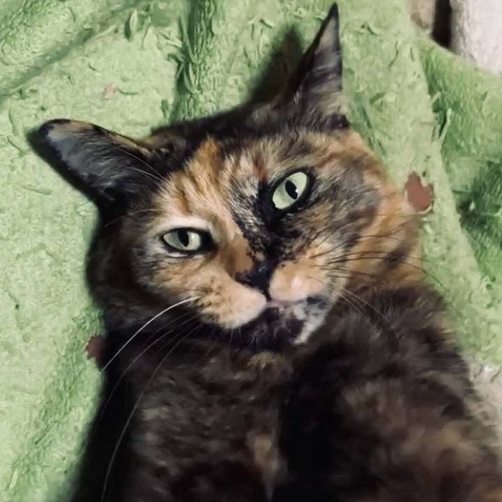 F281f4f8 dcba 4af4 bb05 4373ac0c1cdf 1734254913879