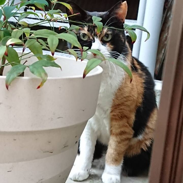 F28214cd cf1c 4ade 841d ae1a03702b17 1664707203696