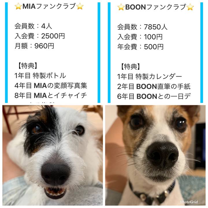 F28236d5 5edb 416d a234 f9a81ed041f7 1568295637034