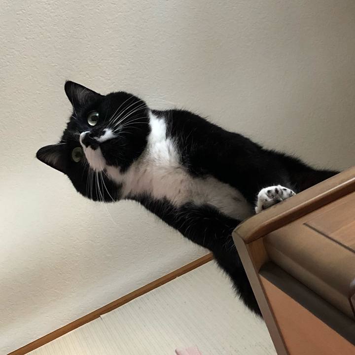 F2823b24 994e 46b4 bf45 4cc95a093d5e 1585624898211