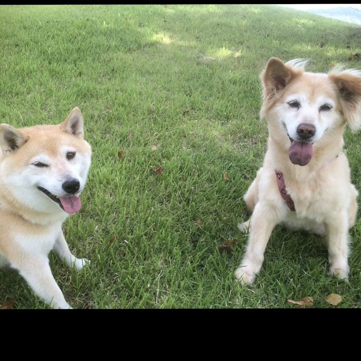 F2823c8e ef86 4153 88c8 10569b0b7077 1763962889088