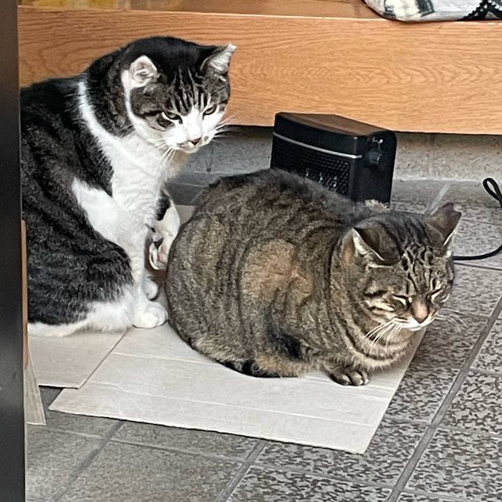 F282592a c711 47a3 98b2 5e774cdc62f5 1639648946212