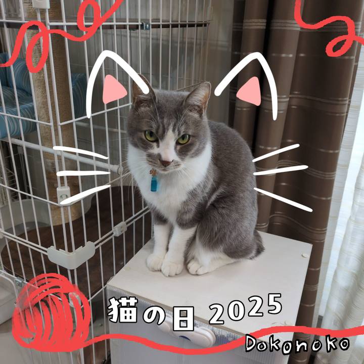 F28284fa eba4 4f67 8f57 3766b23f6b8f 1740200159495