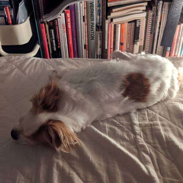 F28299eb 1777 4205 9e3c 9c832cb25880 1620828097664