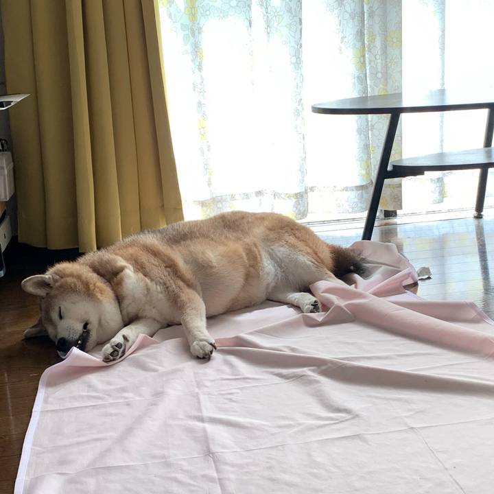 F282b3eb 191c 4aa8 b2b1 b111c6c95d3b 1662011274623