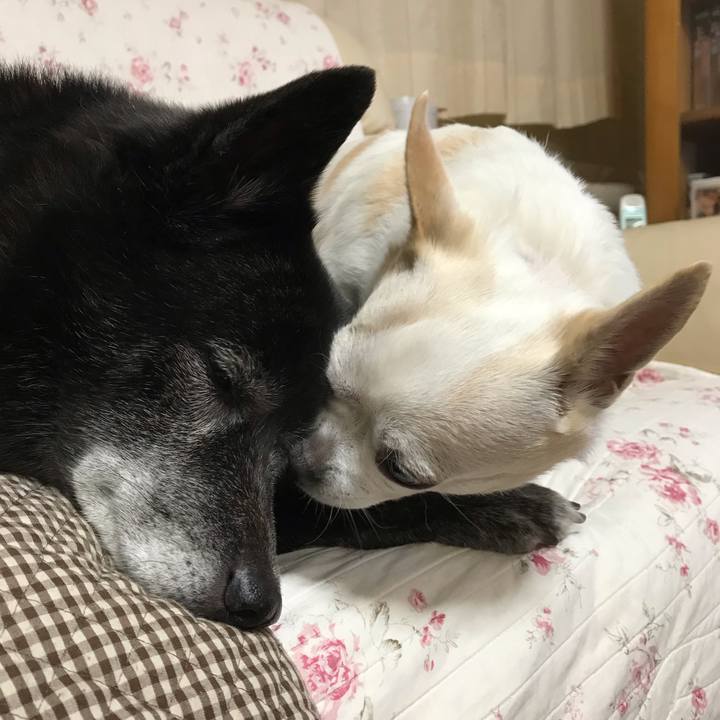 F282ba61 69d2 464e ac57 c0d8ca4ed2c4 1544159815154