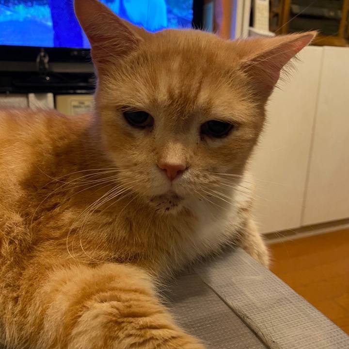 F282bb6a 39c0 4150 99d7 b2213f1b74ad 1632948164244