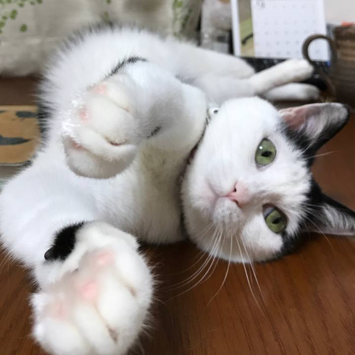 F282ebda 46ed 493c 866a 976a7375949d 1535802987085