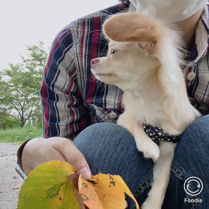 F283065d a828 4f3e 8967 82f12ef25b09 1600321224290