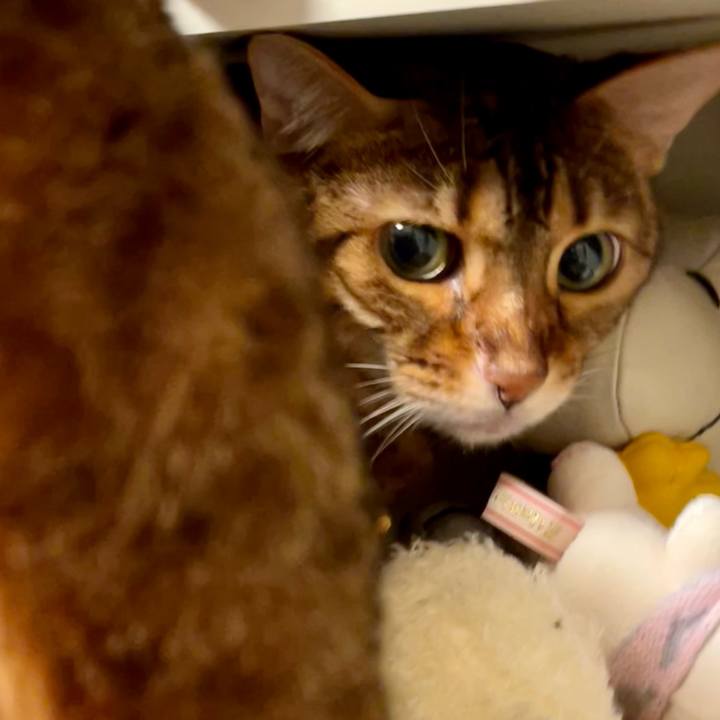 F2832029 1e9b 489b 9785 cf9c995baccf 1668495258811