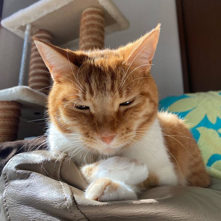 F28331dc a00a 4cf6 bf34 eb779c68e586 1691462959356